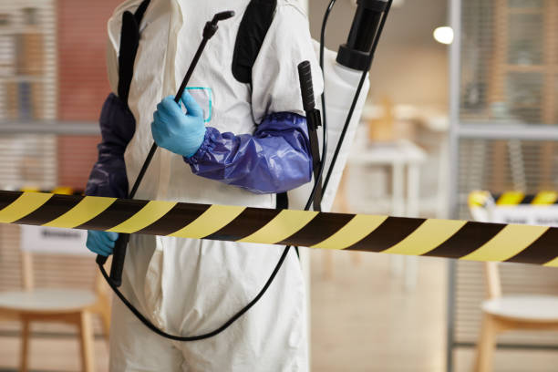 Professional Sewage Cleanup technician working in Jeromesville, OH